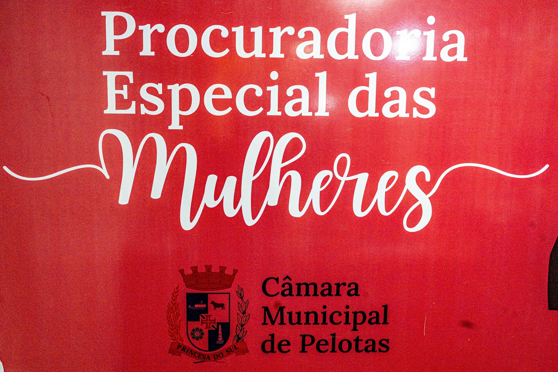 Procuradoria Especial das Mulheres informa sobre novo instrumento de proteção