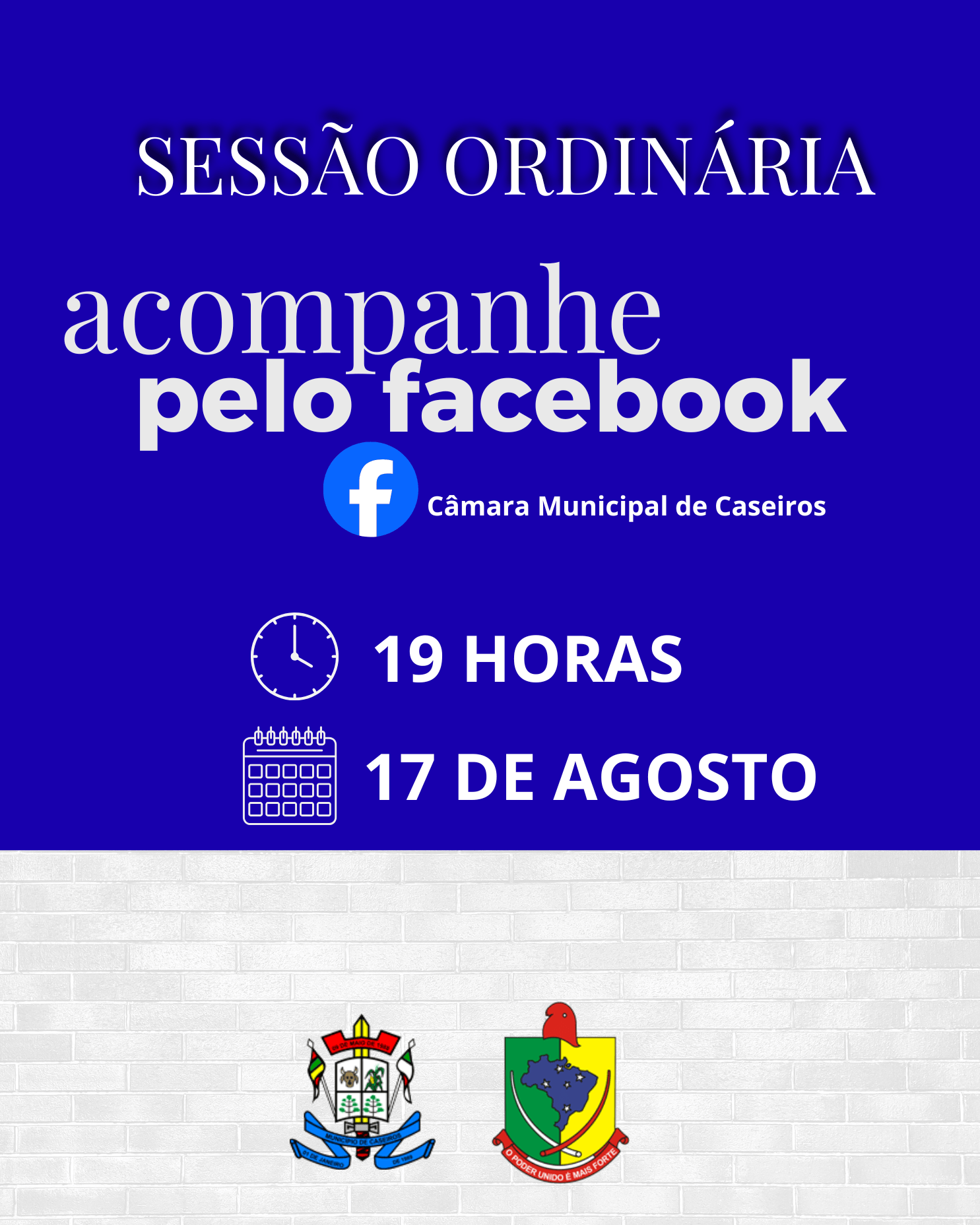 PAUTA
