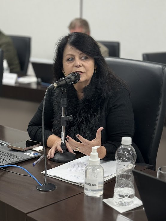 Vereadores aprovam projeto que prevê arteterapia em programas municipais de Chapecó