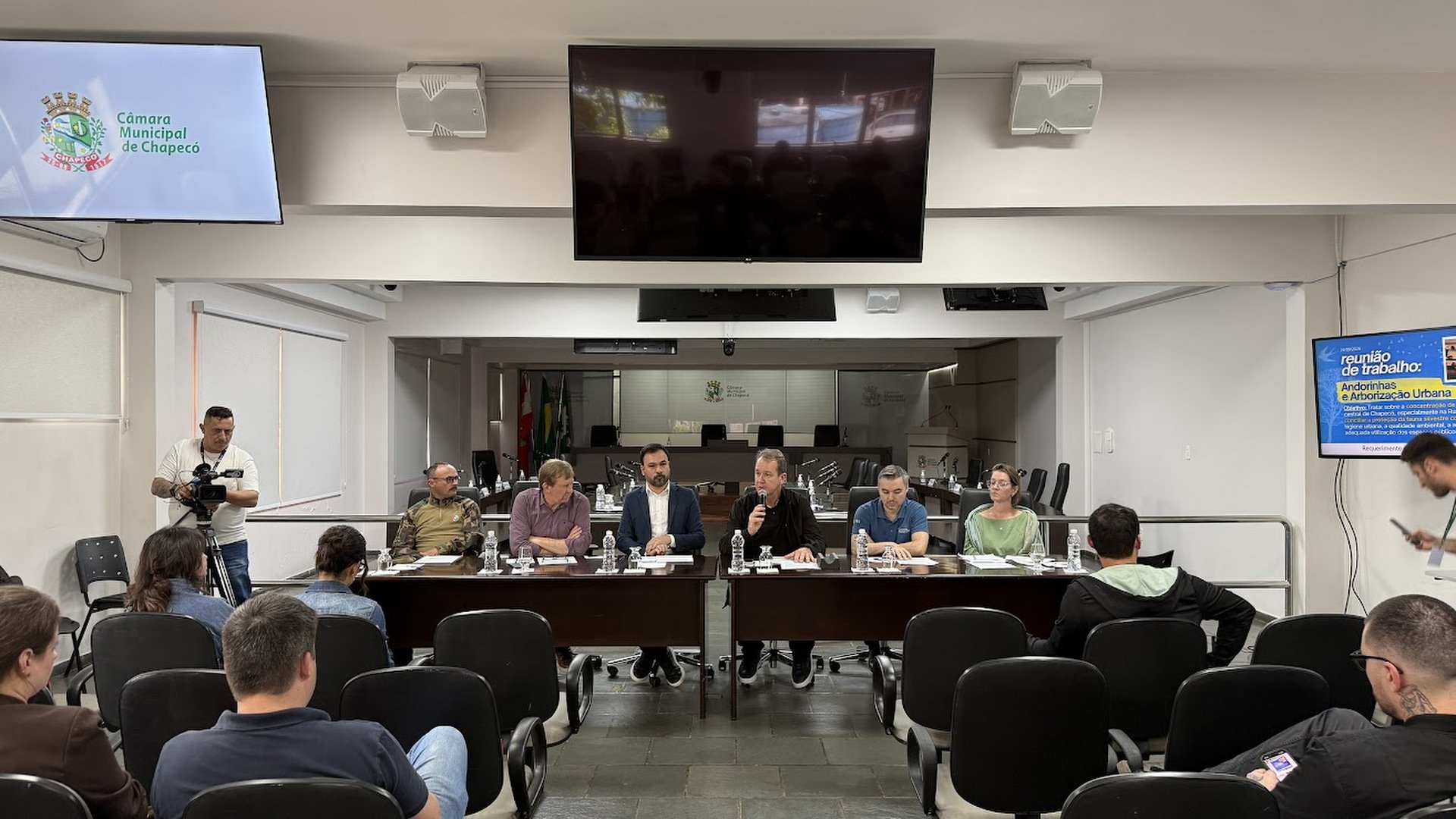 Câmara debate alternativas para concentração de andorinhas na região central de Chapecó