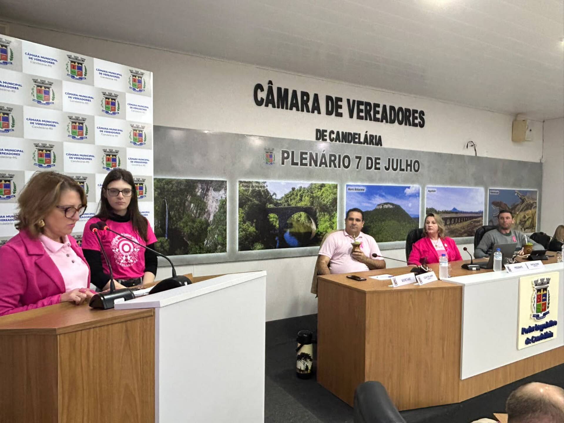 Liga Feminina de Combate ao Câncer reforça a importância da prevenção durante sessão da Câmara
